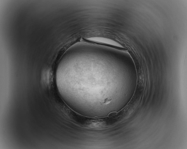 X0000094810555200711161510