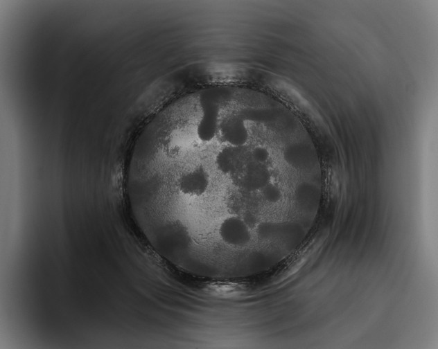X0000094810557200711161510