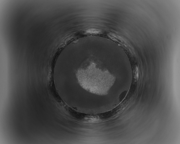 X0000094810559200711161510