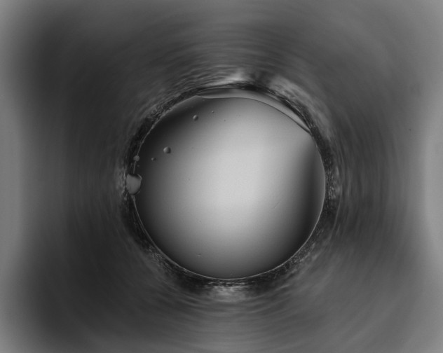 X0000094810560200711161510