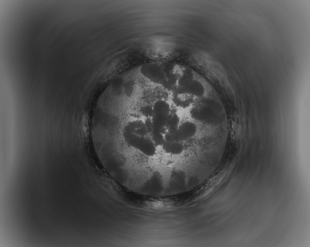 X0000094810561200711161510