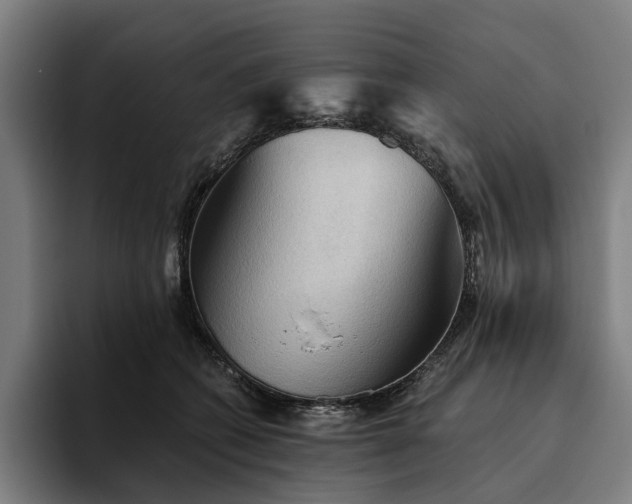 X0000094810562200711161510