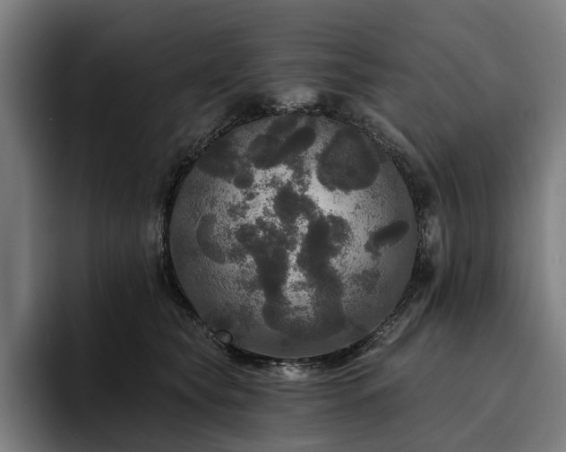 X0000094810565200711161510