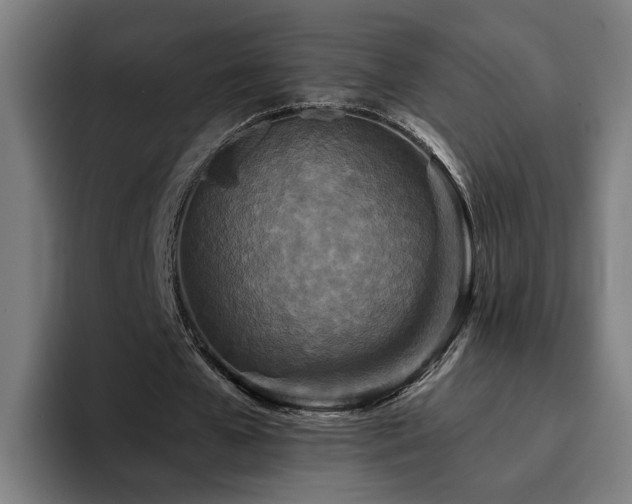 X0000094810577200711161509
