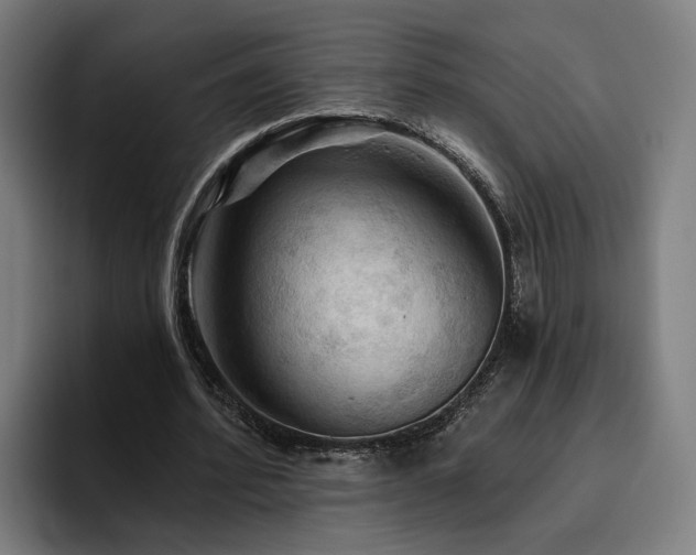 X0000094810580200711161509