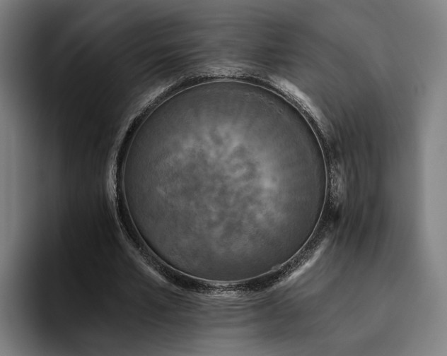 X0000094810581200711161509