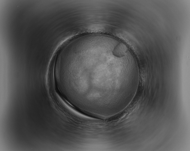 X0000094810583200711161509