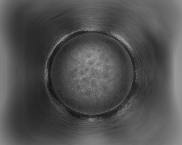 X0000094810584200711161509
