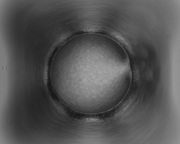 X0000094810586200711161509
