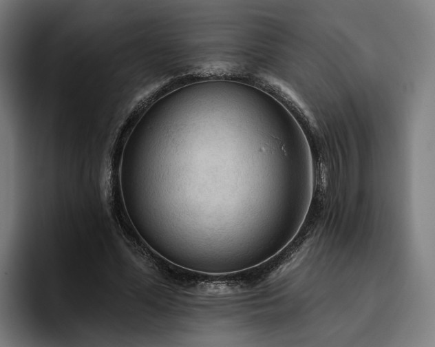 X0000094810588200711161509