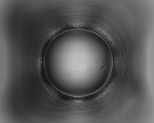 X0000094810592200711161509