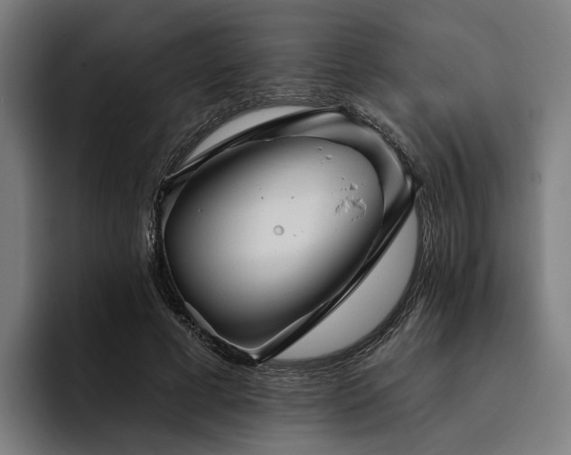 X0000094810593200711161509