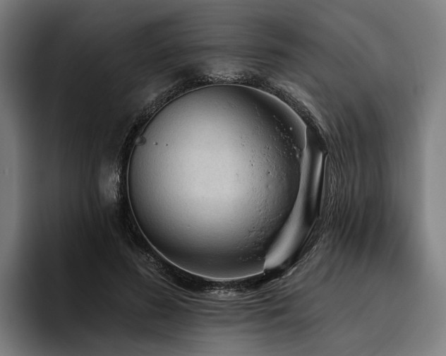 X0000094810596200711161509