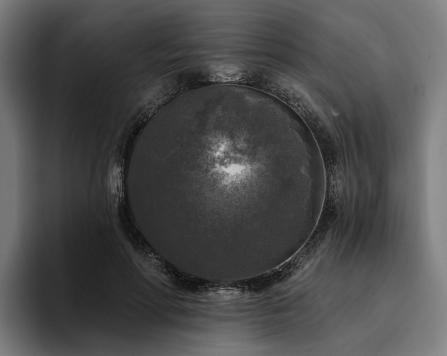 X0000094810598200711161509