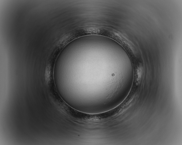 X0000094810600200711161509