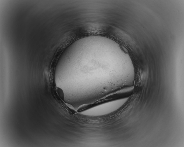 X0000094810601200711161509
