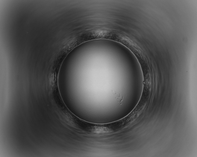 X0000094810605200711161509