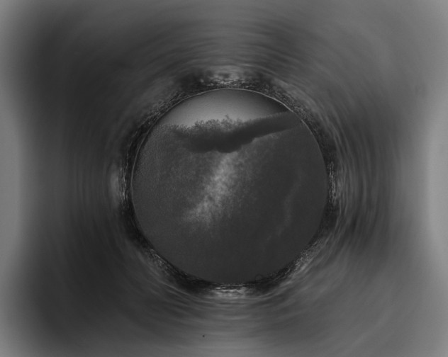 X0000094810606200711161509