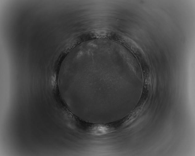 X0000094810610200711161509