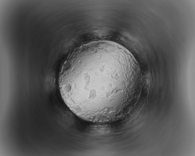 X0000094810615200711161509