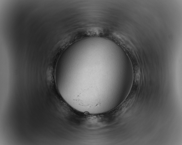 X0000094810616200711161509