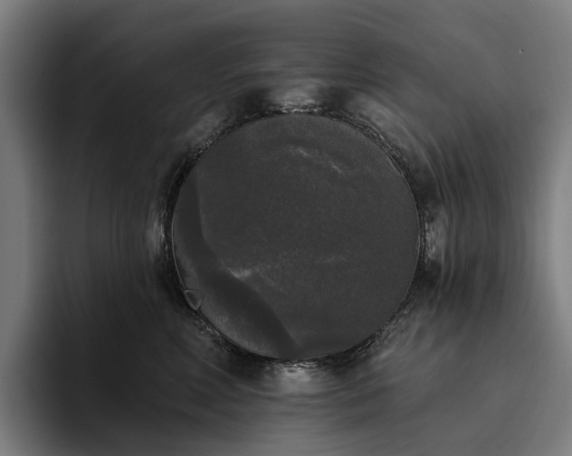X0000094810618200711161509