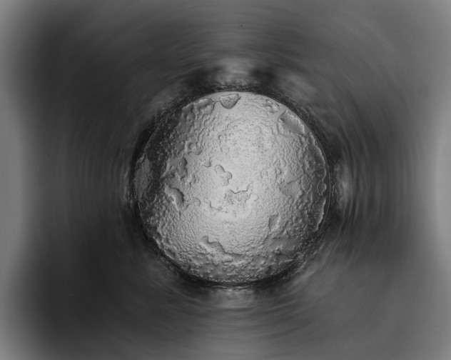 X0000094810619200711161509