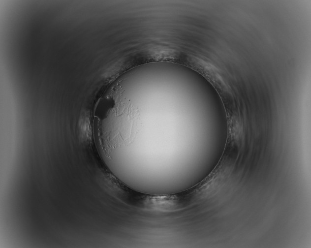 X0000094810622200711161509