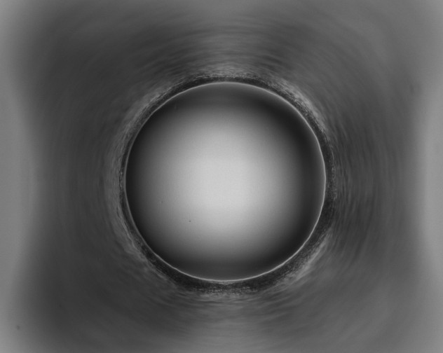 X0000094810625200711161508