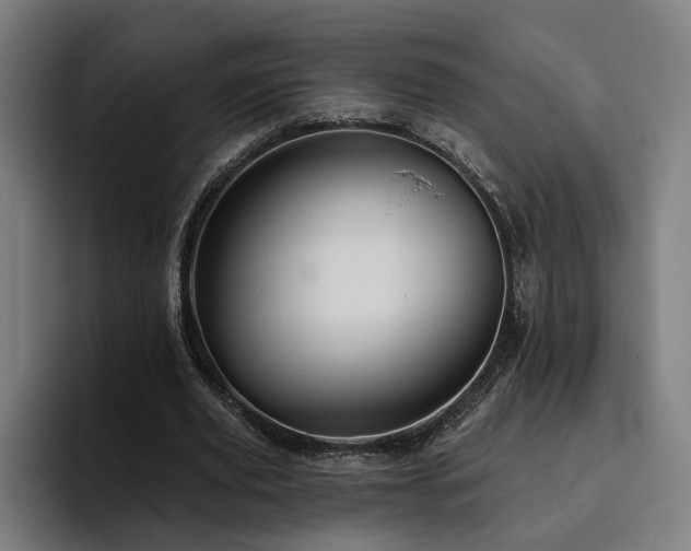 X0000094810629200711161508