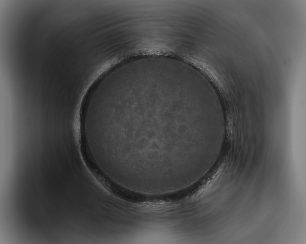 X0000094810630200711161508