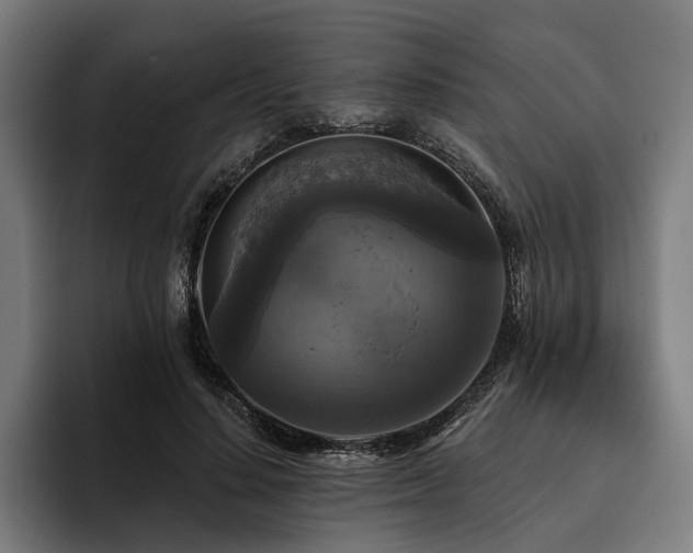 X0000094810644200711161508