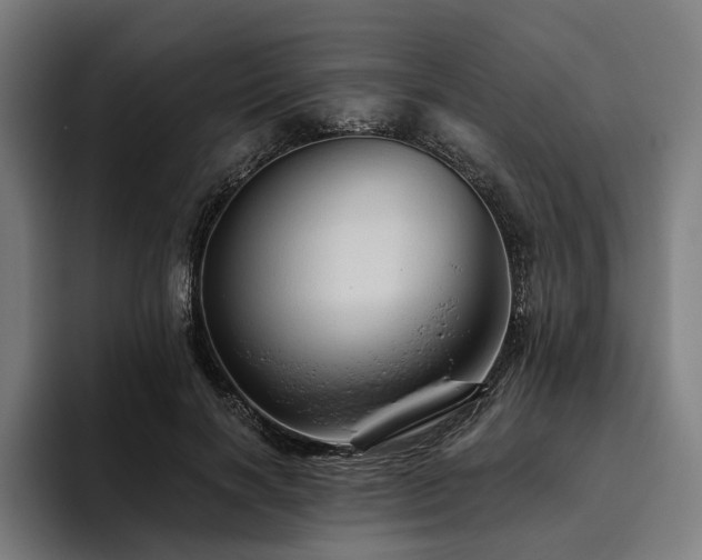 X0000094810646200711161508