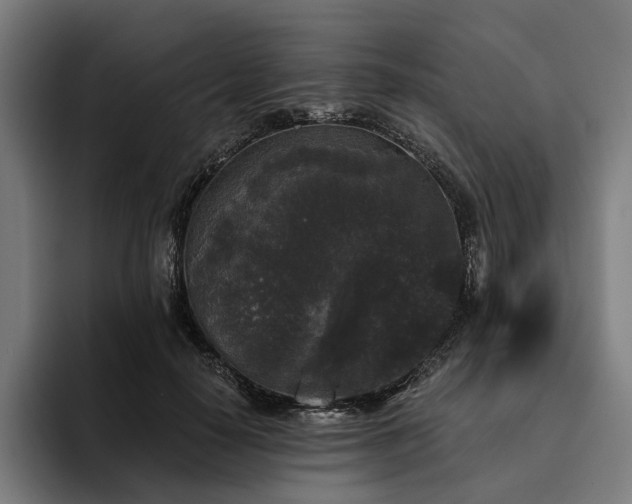 X0000094810650200711161508