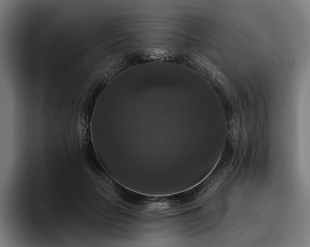 X0000094810653200711161508