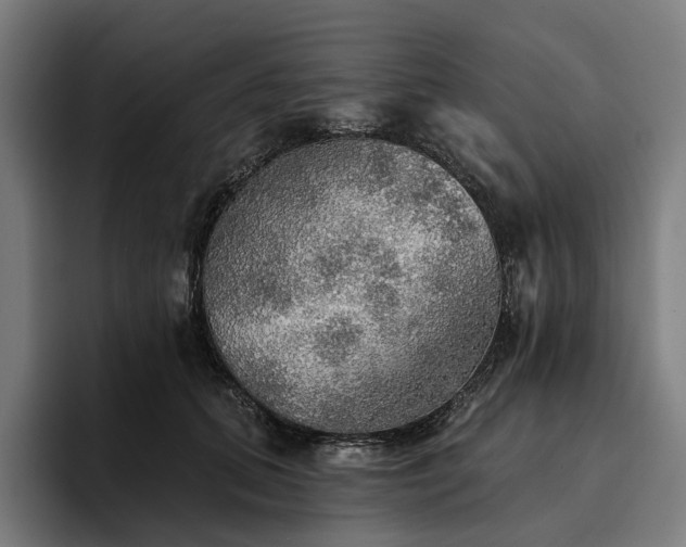 X0000094810655200711161508