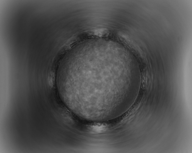 X0000094810656200711161508