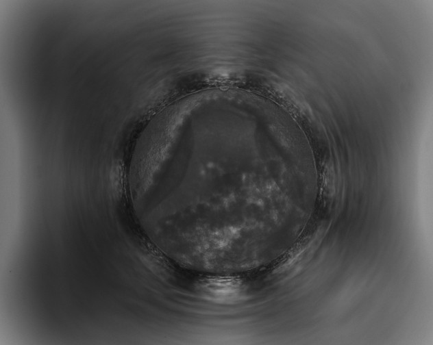 X0000094810659200711161508