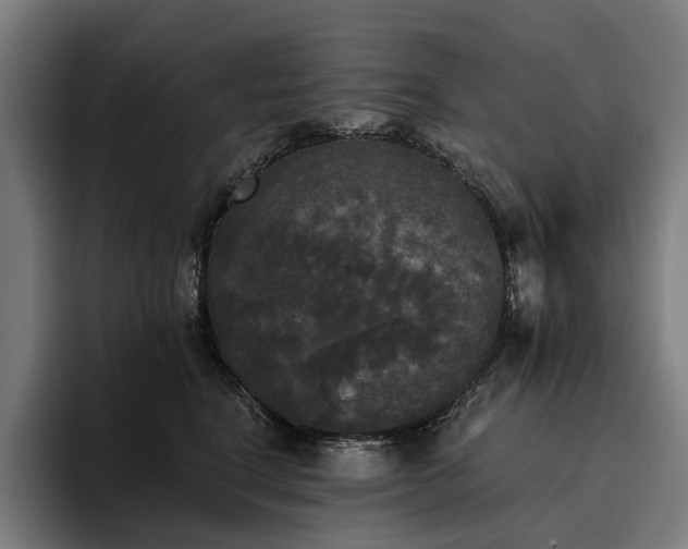 X0000094810664200711161508