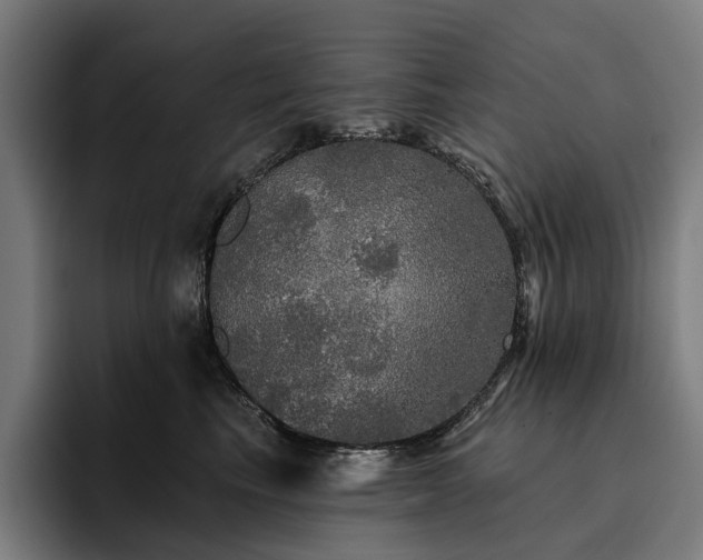 X0000094810665200711161508