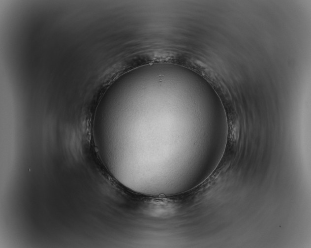 X0000094810666200711161508