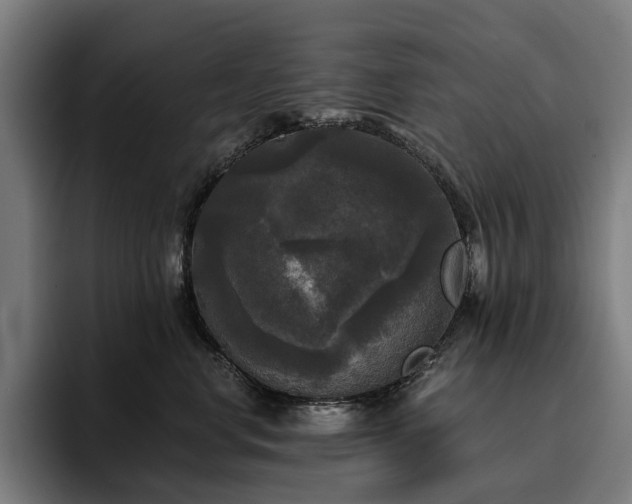 X0000094810668200711161508