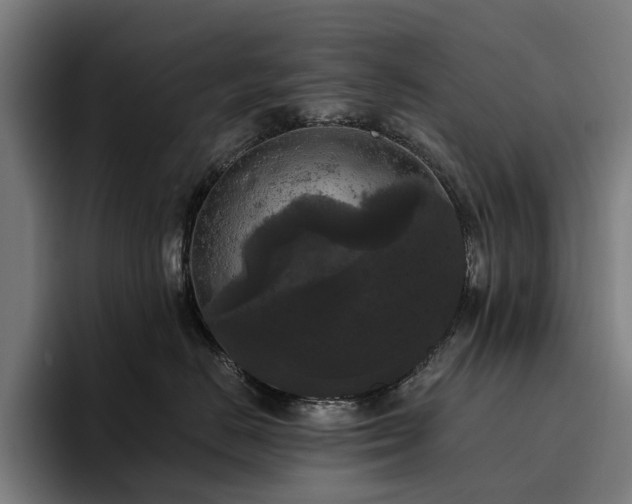 X0000094810670200711161508