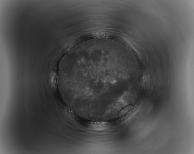 X0000094810671200711161508
