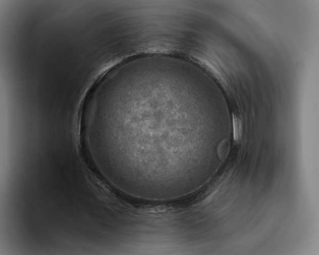 X0000094810675200711161508