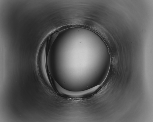 X0000094810676200711161508