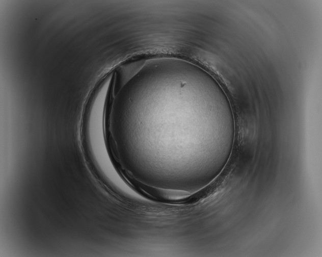 X0000094810677200711161508