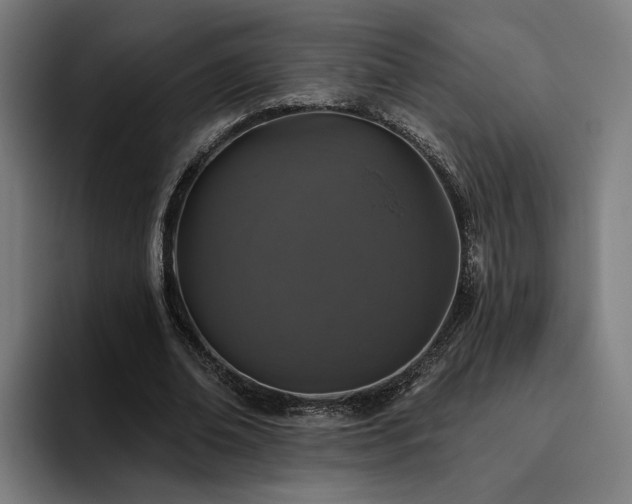 X0000094810678200711161508