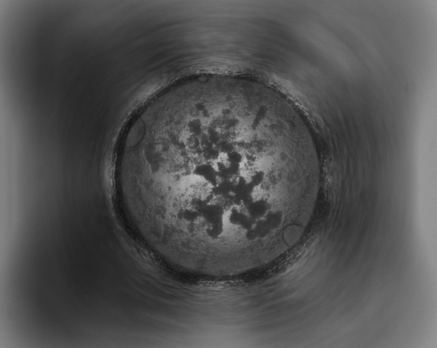 X0000094810679200711161508