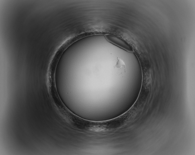 X0000094810680200711161508